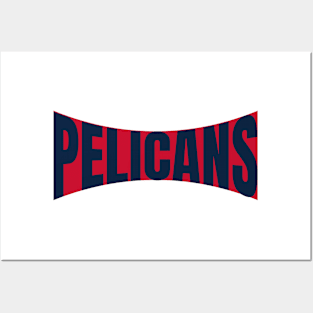 the pelicans Posters and Art